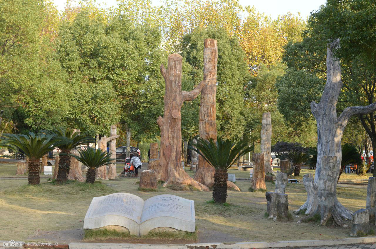 在线买世界杯平台